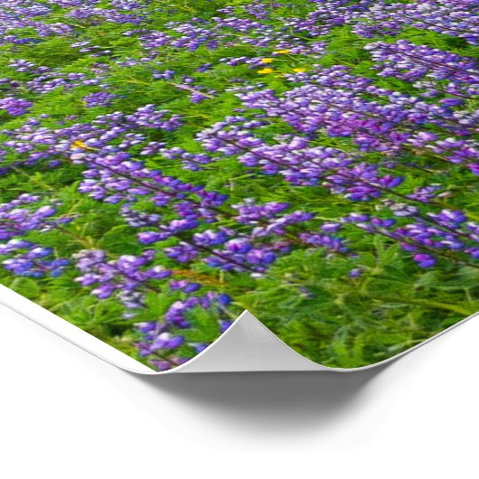 VIK, ISLAND POSTER (Ecke)