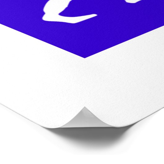 Viking-Evolution Poster (Ecke)