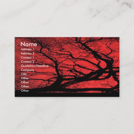 Viking-Himmel-Visitenkarte Visitenkarte (Vorderseite)