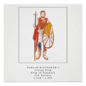 Viking King Harald Bluetooth Poster (Vorderseite)