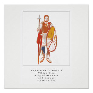 Viking King Harald Bluetooth Poster