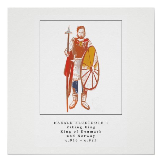 Viking King Harald Bluetooth Poster (Vorderseite)