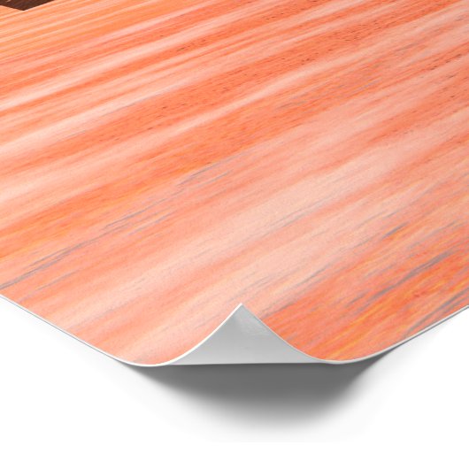 Viking Longship Ventures Poster (Ecke)