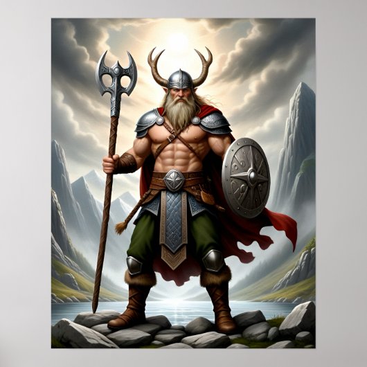 Viking Poster (Vorne)