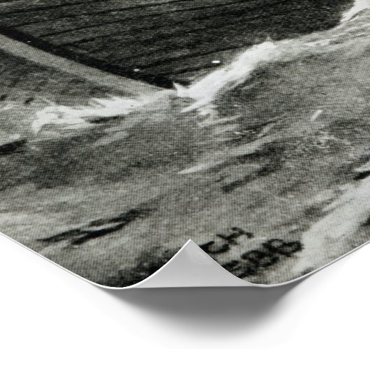 Viking Raiders Poster (Ecke)