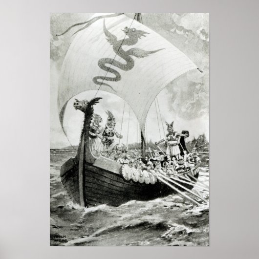 Viking Raiders Poster (Vorne)