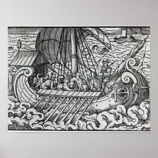 Viking Ship Poster (Vorne)
