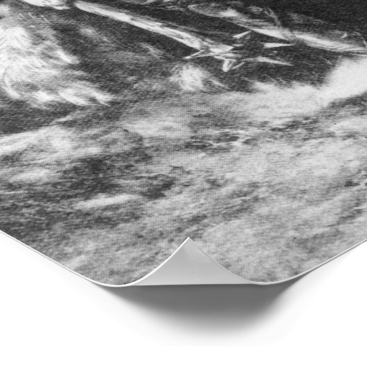 Viking Warrior Poster (Ecke)