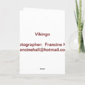 Vikingo Andalusischer Grußkarte Karte (Rückseite)