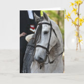 Vikingo Andalusischer Grußkarte Karte (Gelbe Blume)