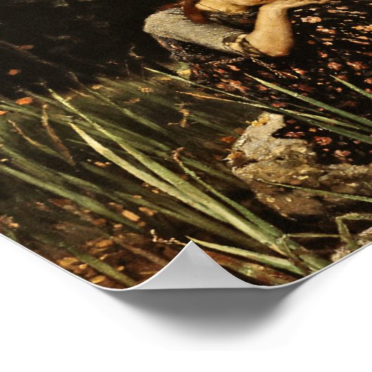 Viktor Vasnetsov - Alyonushka Poster (Ecke)