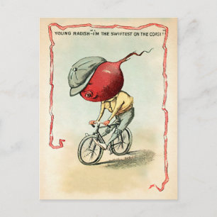 Viktorianisch Bike Radish Postcard Postkarte