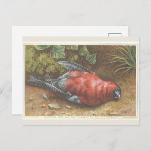 Viktorianisch Dead Bird Weihnachtskarte Postkarte (Vorne/Hinten)