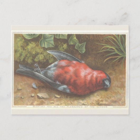 Viktorianisch Dead Bird Weihnachtskarte Postkarte (Vorderseite)