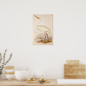 Viktorianisch Era White Crane Poster (Küche)