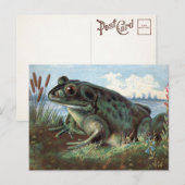 Viktorianisch Frosch Art Postkarte  (Vorne/Hinten)