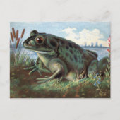 Viktorianisch Frosch Art Postkarte (Vorderseite)