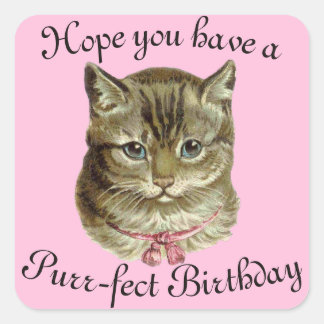 Viktorianisch Happy Birthday Kitty wünscht Quadratischer Aufkleber