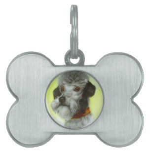 VIKTORIANISCH MINIATURE DOG PORTRAITS Airedale Ter Tiermarke