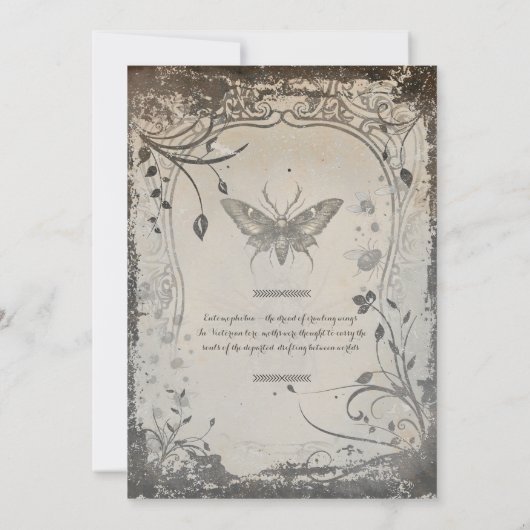 Viktorianisch Moth Gothic Halloween-Party Soirée Einladung (Rückseite)