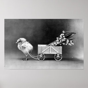 Viktorianisch Ostern Poster