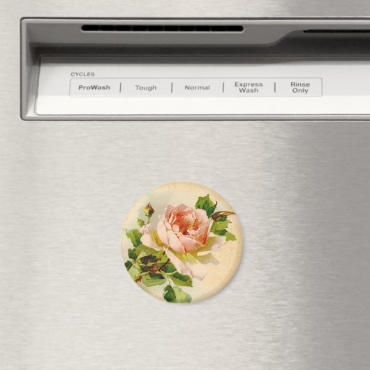 Viktorianisch Rosa Rose Magnet (In Situ (Geschirrspüler))