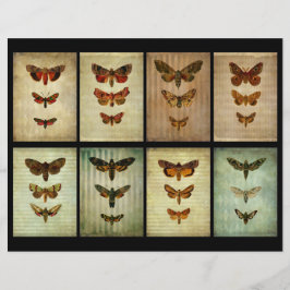 Viktorianisch Style Moth ATC Scrapbook Cards