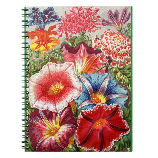 Viktorianische Blumenspirale Notebook Morning Glor Notizblock (Vorderseite)
