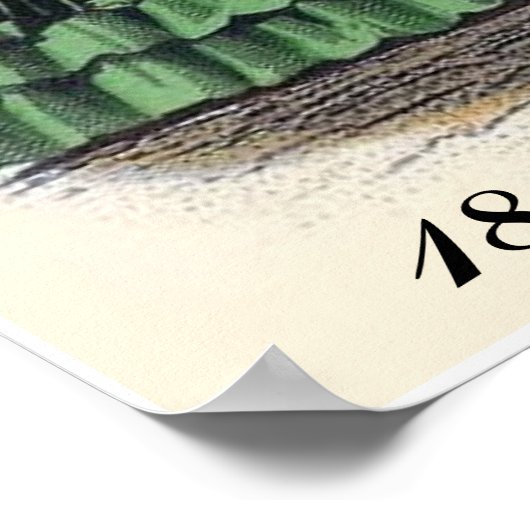 Viktorianische Bride Illistration Fashions Poster  (Ecke)