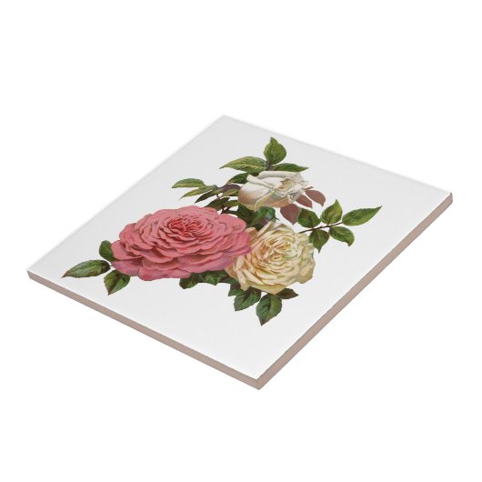 Viktorianische Creme und Rosen Fliese (Seite)