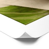 viktorianische Dame, langhaarige Frau Poster (Ecke)