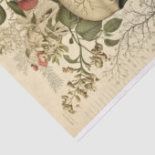 Viktorianische Dekoupage von Schädel und Botsuana Seidenpapier (Ausschnitt)