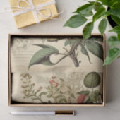 Viktorianische Dekoupage von Schädel und Botsuana Seidenpapier (Geschenk)