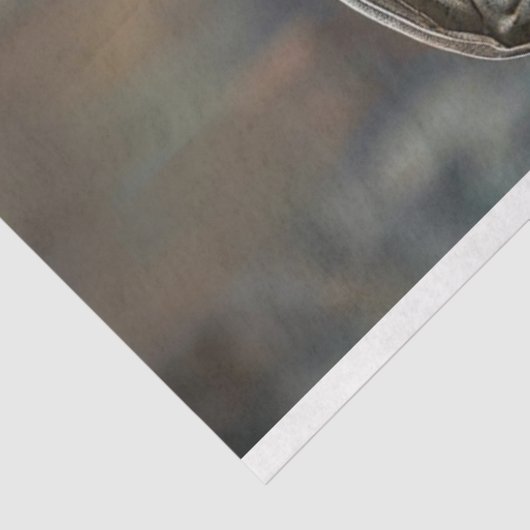 Viktorianische elegant gekleidete Alligatorentkund Seidenpapier (Ausschnitt)