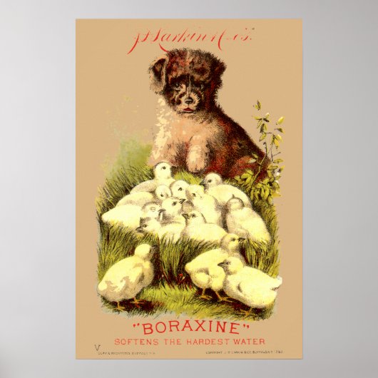 Viktorianische Era Puppy & Baby Chicks Seifenwerbu Poster (Vorne)