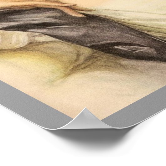 Viktorianische Frau Poster (Ecke)