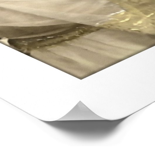 viktorianische Frauenkleidung Poster (Ecke)