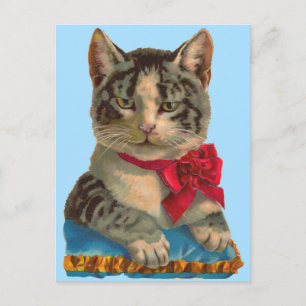 Viktorianische getigerte Katze Postkarte