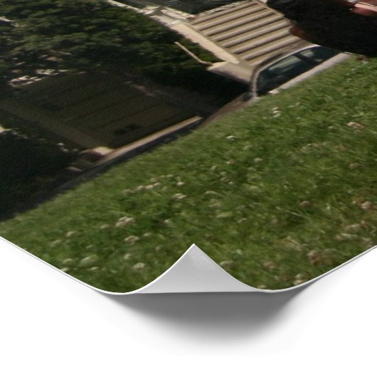 Viktorianische Häuser Poster (Ecke)