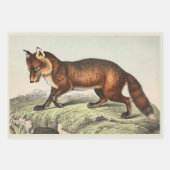 Viktorianische Hundeausdrucke Geschenkpapier Set (Vorderseite 2)