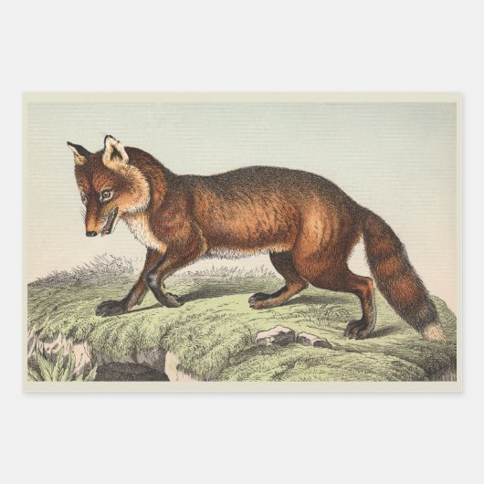 Viktorianische Hundeausdrucke Geschenkpapier Set (Vorderseite 2)