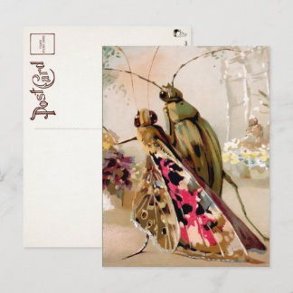 Viktorianische Insekten Postkarte