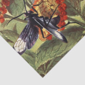 Viktorianische Insekten unter Viktorianischen Blum Seidenpapier (Detail)