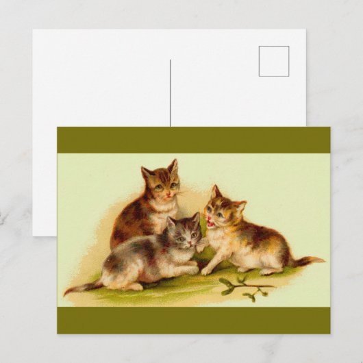 Viktorianische Kätzchen Postkarte (Vorne/Hinten)