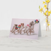 Viktorianische Katzen und Kätzchen mit der besten  Karte (Gelbe Blume)