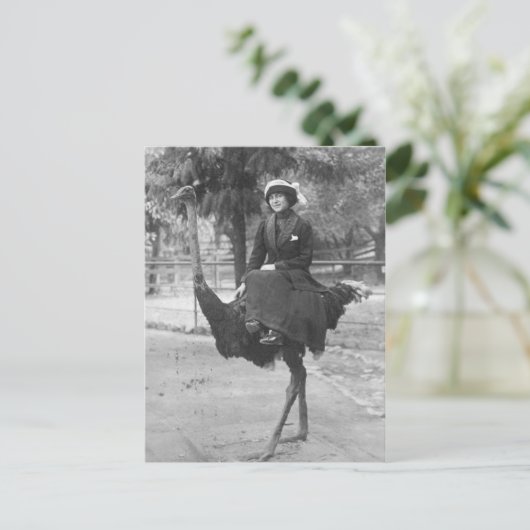 Viktorianische komische Frau Riding Ostrich Postkarte (Stehend Vorderseite)
