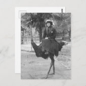 Viktorianische komische Frau Riding Ostrich Postkarte (Vorne/Hinten)