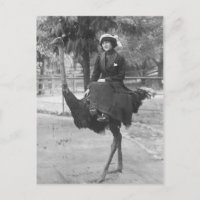 Viktorianische komische Frau Riding Ostrich