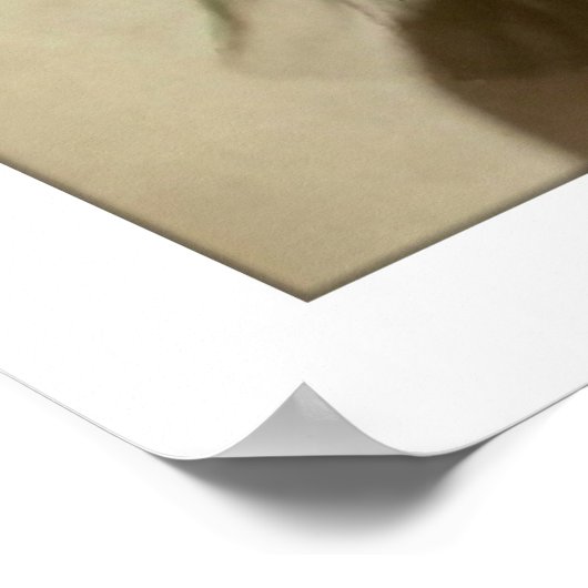 viktorianische Ladentheke Poster (Ecke)