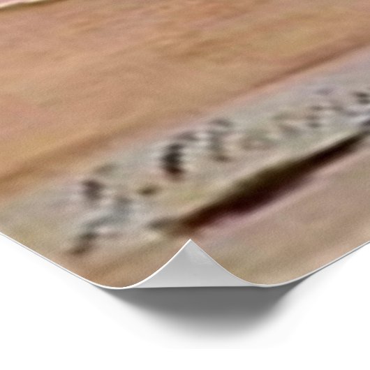 Viktorianische Masquerade Ball - Mardi Gras Poster (Ecke)